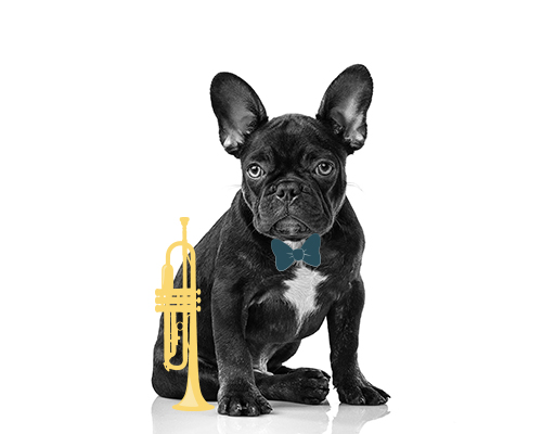 Dog with Trumpet